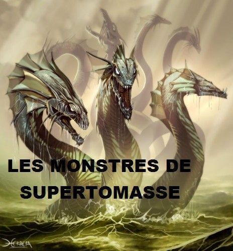 http://supertomasse.s.u.pic.centerblog.net/b022f055.jpg